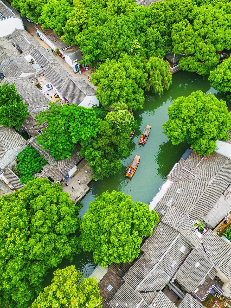 换种视角欣赏绿意点缀、曲水环绕的同里古镇_7_赵高翔Moor的行摄故事_同里-古镇-来自52tours 我爱旅游网